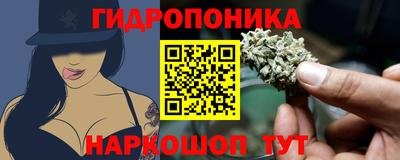 индика Краснодар