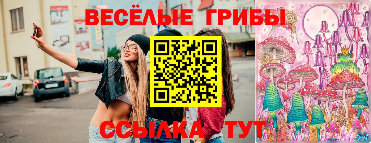 Псилоцибиновые грибы мухоморы Карачаевск